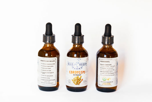 Cordyceps Tincture