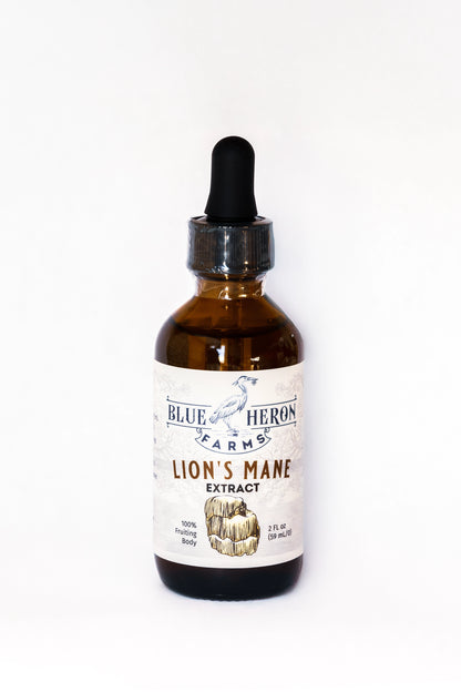 Lion’s Mane Tincture