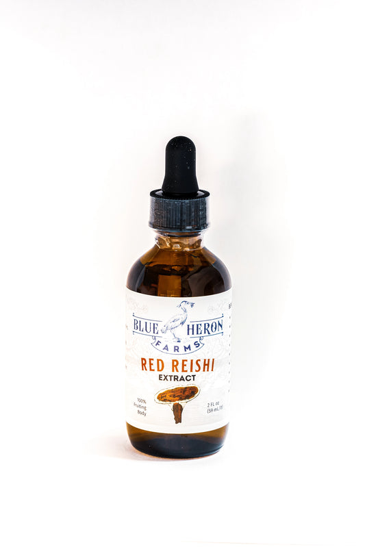 red reishi mushroom tincture bottle