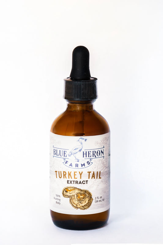 Turkey Tail Tincture